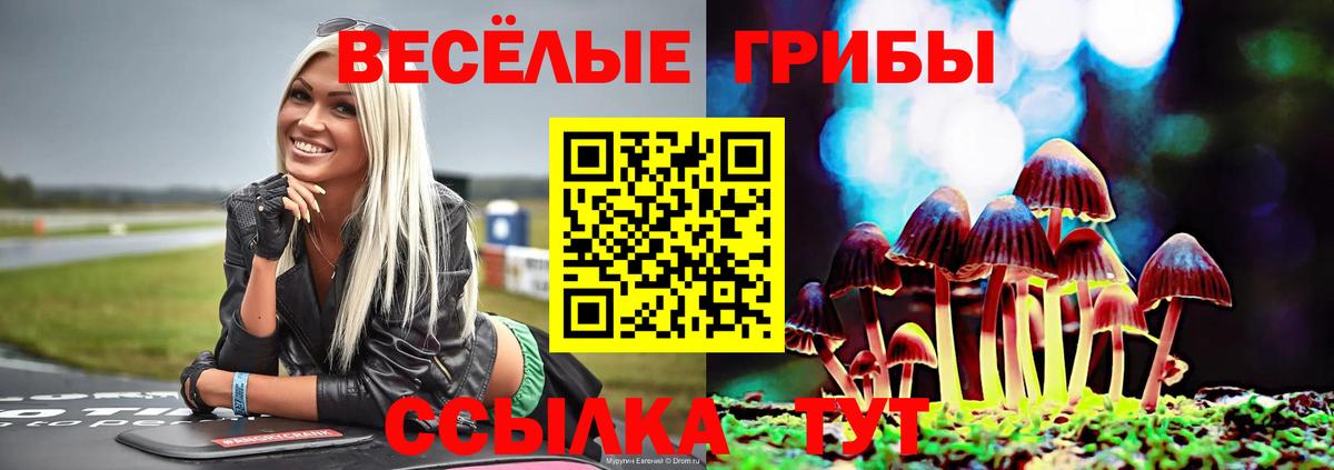 Псилоцибиновые грибы MAGIC MUSHROOMS  Вход с VPN  Копейск 